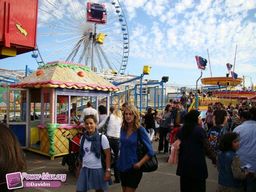 Lille-2010-113