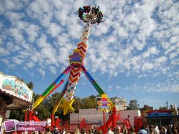 Lille-2010-140