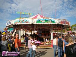 Lille-2010-144