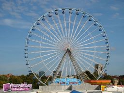 Lille-2010-164