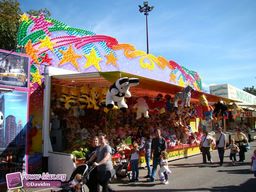 Lille-2010-39