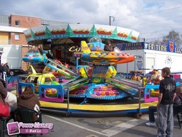 Loos-2010-24