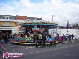 Loos-2010-5