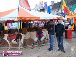 Mamers-2010-25