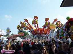 Montilly-sur-Noireau-2010-23