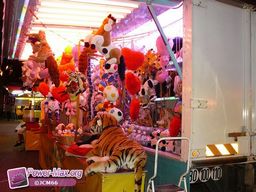 Pamiers-2010-102