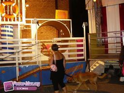 Pamiers-2010-57