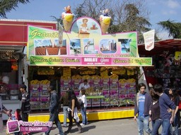 Paris-Foire-du-Trone-2010-218