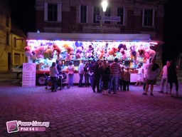 Quesnoy-2010-7