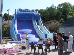 Sallanches-2010-8