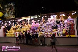 Toulouse-Foire-2010-26