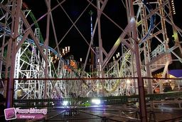 Toulouse-Foire-2010-36