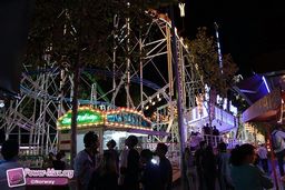 Toulouse-Foire-2010-37