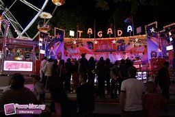 Toulouse-Foire-2010-41