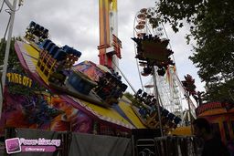 Toulouse-Foire-2010-43