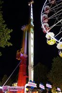 Toulouse-Foire-2010-60