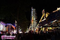 Toulouse-Foire-2010-69
