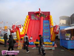 Alencon-2011-3