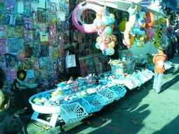 Angers-2011-103