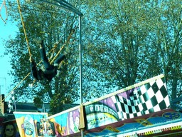 Angers-2011-109