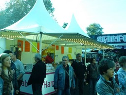 Angers-2011-136