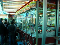 Angers-2011-145