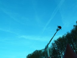 Angers-2011-159