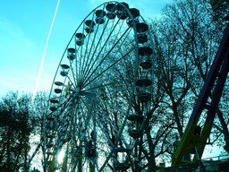 Angers-2011-162