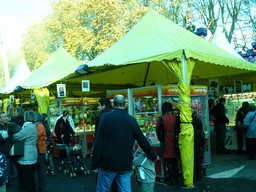 Angers-2011-176