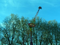 Angers-2011-179