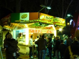 Angers-2011-50