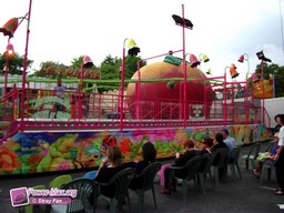Bayonne-2011-17