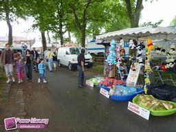 Beaugency-2011-44
