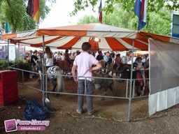Beaugency-2011-45