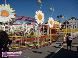 Belfort-2011-12