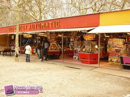 Bordeaux-2011-110