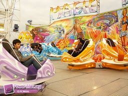 Bordeaux-2011-221