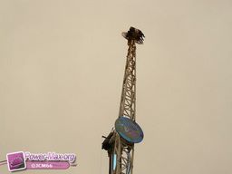 Bordeaux-2011-74
