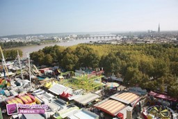 Bordeaux-Octobre-2011-4