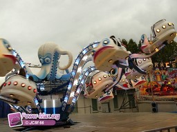 Foix-2011-2