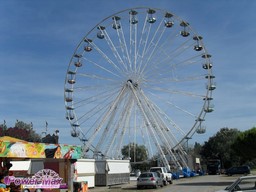 Grau-du-roi-Luna-Park-2011-8