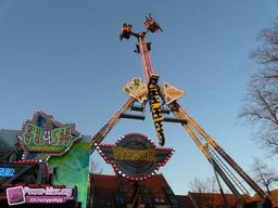 Halle-NL-2011-11