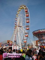 Le-Havre-2011-21