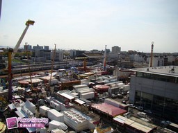 Le-Havre-2011-7