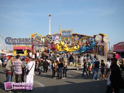 Le-Havre-2011-93