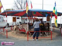 Le-Mans-printemps-2011-20