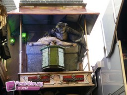 Liege-2011-41