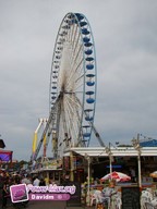 Lille-2011-32