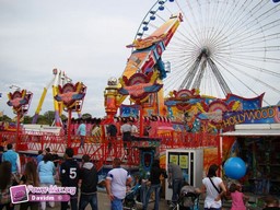 Lille-2011-89