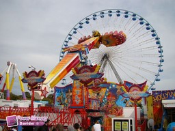 Lille-2011-97